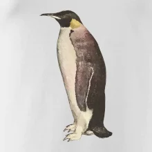 Tučňák kreslený vodovými barvami