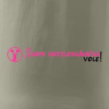 Jsem roztleskávačka! Vole!