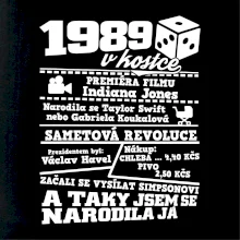 1989 v kostce