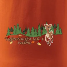 Nejkrásnější laň v revíru