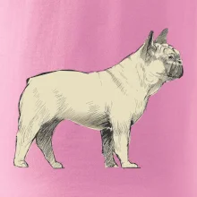 Vintage French bulldog