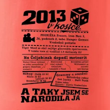 2013 v kostce