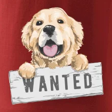 Zlatý retriever - štěně wanted