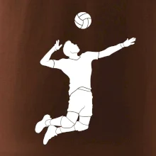 Volejbal nápřah muž