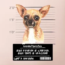 Lump a darebák čivava