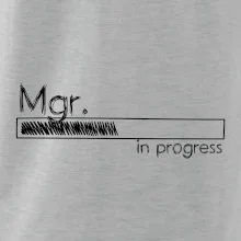 In progress titul Mgr.  magistr / magistra