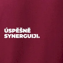 ÚSPĚŠNĚ SYNERGUIJI.