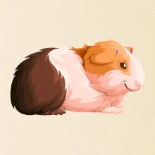 Morče - kreslené z boku