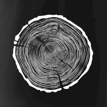 Letokruhy 85 bez věku