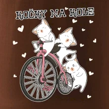 Kočky na kole