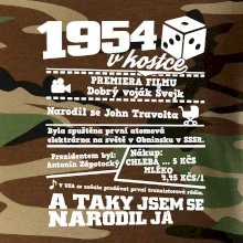 1954 v kostce