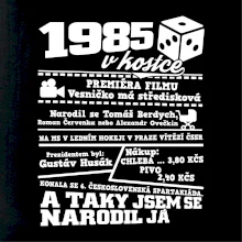 1985 v kostce