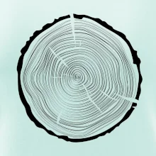 Letokruhy 50 bez věku