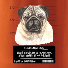 Lump a darebák mopsík