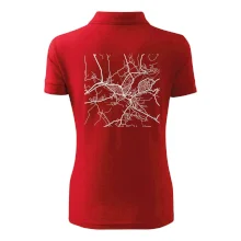 Mapy měst černobílé Turnov