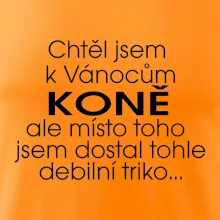 Chtěl jsem dostat k Vánocům koně