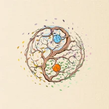 Yin & Yang strom - zima, léto