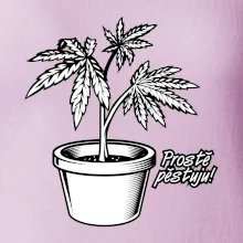 Konopi prostě pěstuju