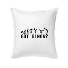 Capoeira - Got Ginga