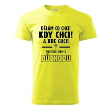 Dělám co chci, kdy chci důchod