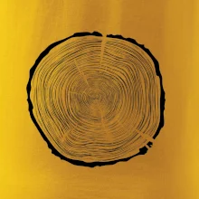 Letokruhy 80 bez věku