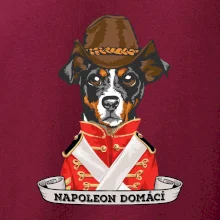 Napoleon domácí pes kříženec