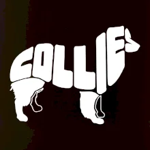 Border kolie písmo v těle