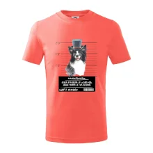 Lump a darebák border kolie