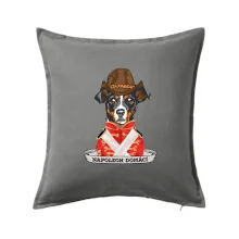 Napoleon domácí pes kříženec