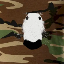 Barzoj čumák (Moňas)