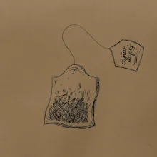 Čaj - čajův nápoj