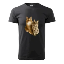 Kočky vectorizované  (Moňas)