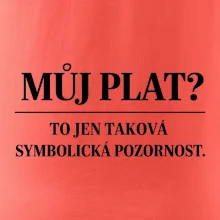 Můj plat? to jen taková symbolická pozornost