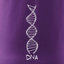 Cyklistovo DNA