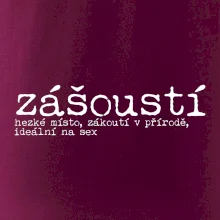 Čeština 2.0 - zášoustí