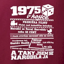 1975 v kostce