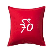 Cyklista slaví sedmdesátku (70)