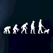 Lagotto romagnolo Evoluce