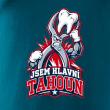 Jsem hlavní tahoun