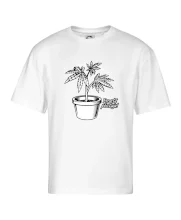 Konopi prostě pěstuju