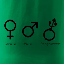 Female male programmer