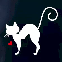 Zamilovaná kočka prohnutá