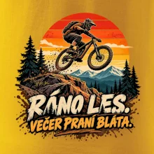 Ráno les večer praní bláta na kole