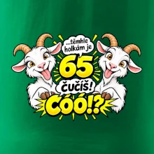Těmhle holkám je 65, čučíš co?