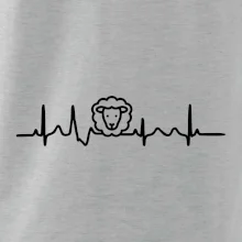 Ekg ovce