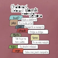 Chatovací slovník moderního seniora (Běžící češtinář)