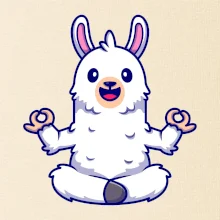 Yoga meditace - lama