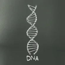 Cyklistovo DNA