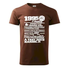 1995 v kostce