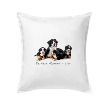 Bernese mountain dog celá rodina